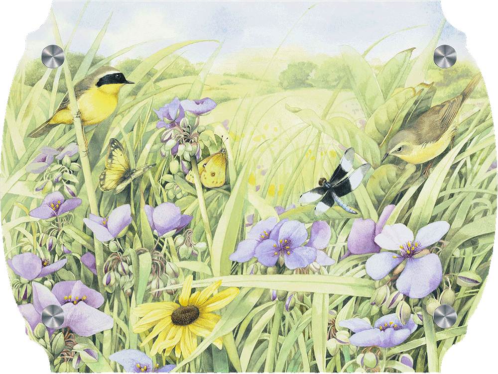 Summer Abundance Acrylic Wall Art & Home Decor
