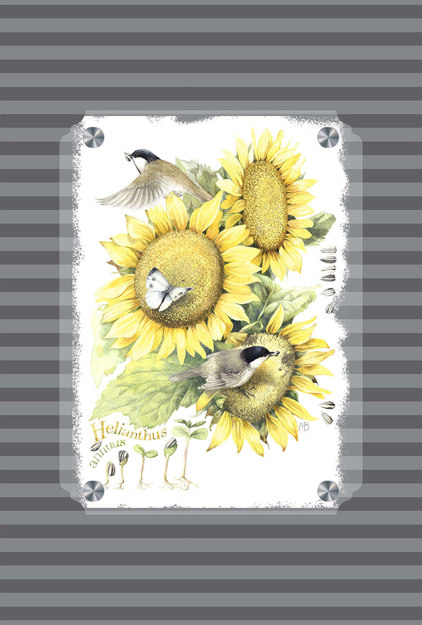 Summer Buffet Acrylic Wall Art & Home Decor