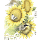 Summer Buffet Acrylic Wall Art & Home Decor
