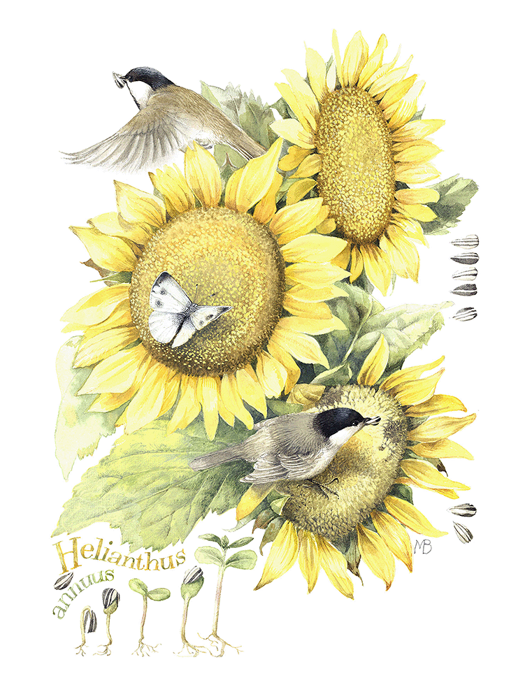 Summer Buffet Acrylic Wall Art & Home Decor