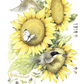 Summer Buffet Acrylic Wall Art & Home Decor