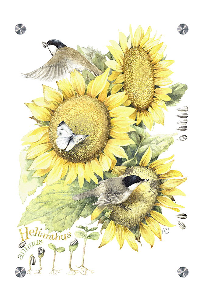 Summer Buffet Acrylic Wall Art & Home Decor