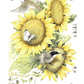 Summer Buffet Acrylic Wall Art & Home Decor