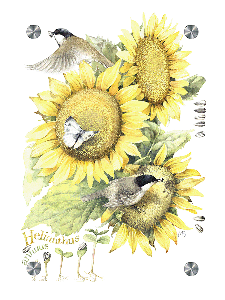 Summer Buffet Acrylic Wall Art & Home Decor
