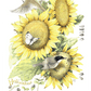 Summer Buffet Acrylic Wall Art & Home Decor