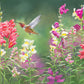 Summer fiesta Acrylic Wall Art & Home Decor