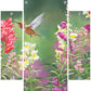 Summer fiesta Acrylic Wall Art & Home Decor