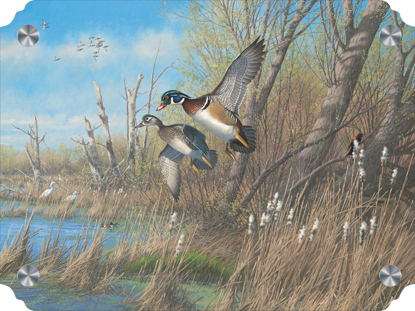 Sunday's Best - Wood Ducks Acrylic Wall Art & Home Decor