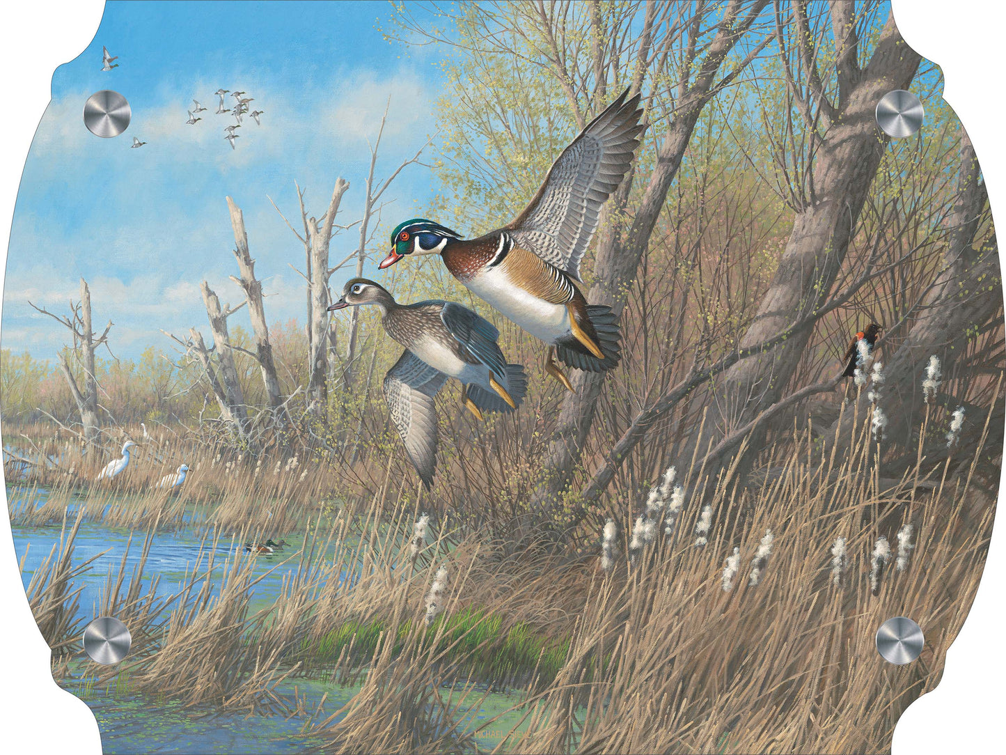 Sunday's Best - Wood Ducks Acrylic Wall Art & Home Decor