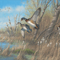 Sunday's Best - Wood Ducks Acrylic Wall Art & Home Decor