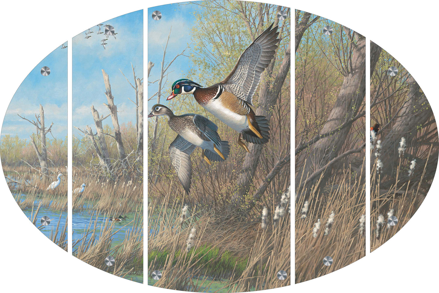 Sunday's Best - Wood Ducks Acrylic Wall Art & Home Decor