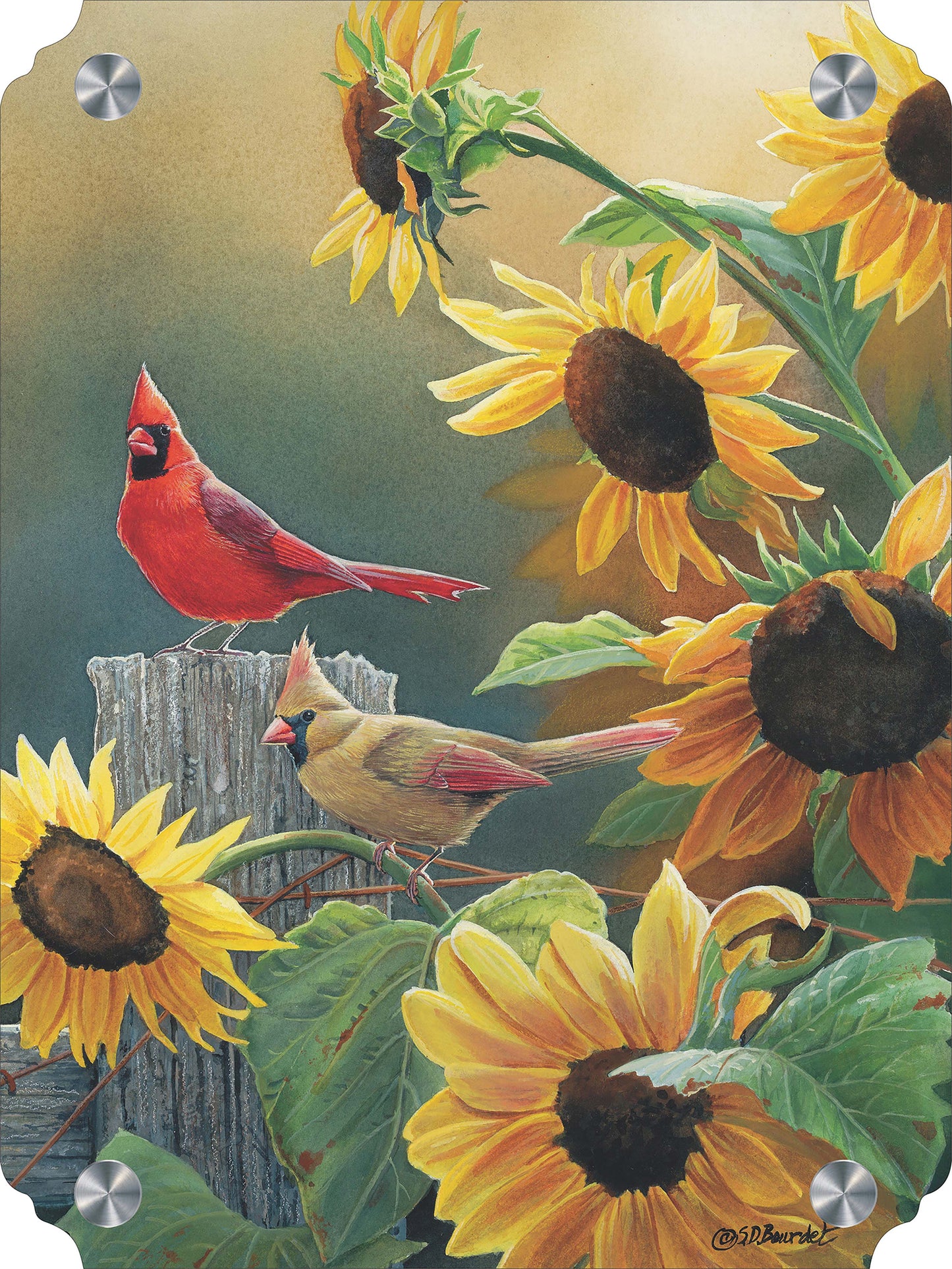 Sunny Side Up - Cardinals Acrylic Wall Art & Home Decor