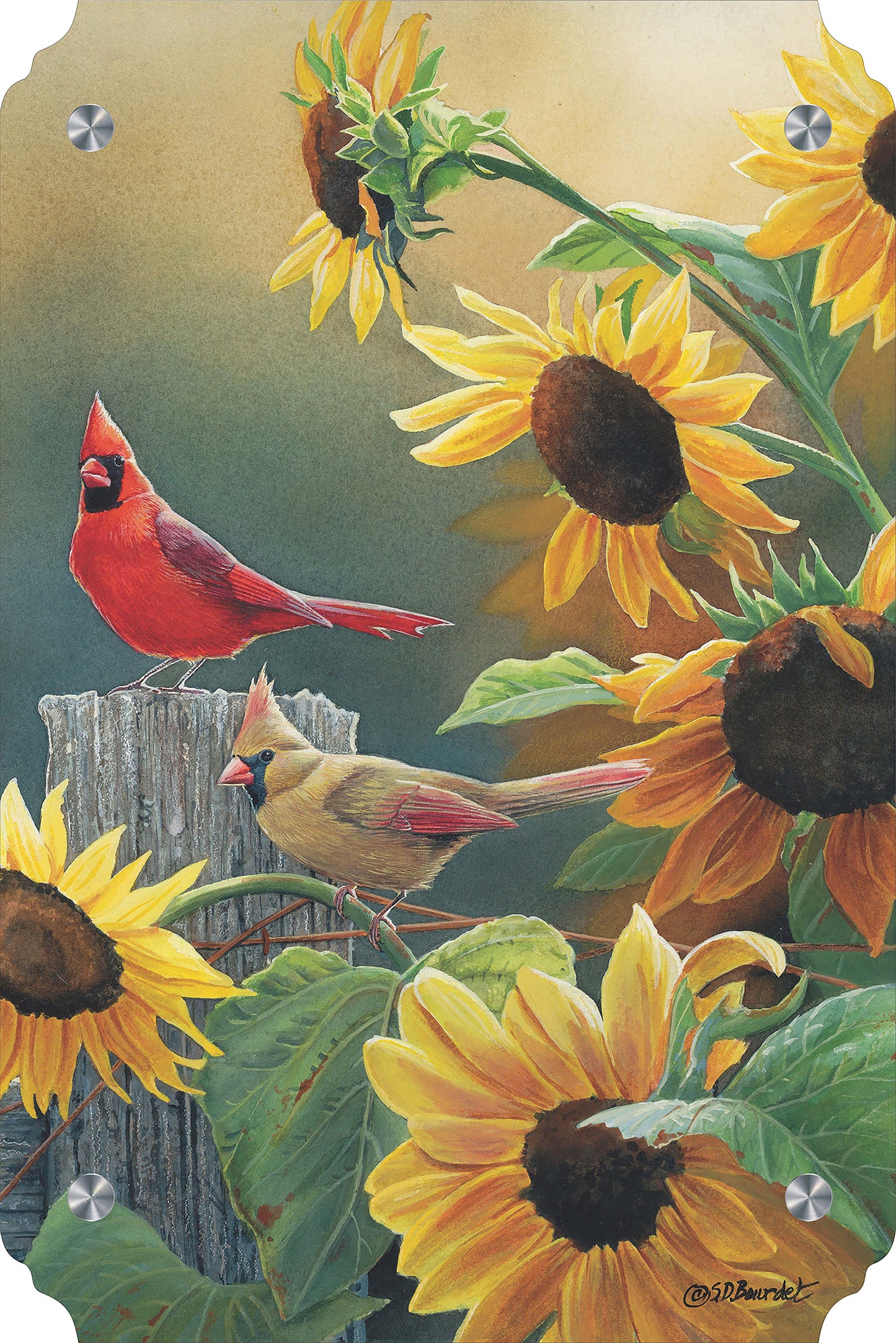 Sunny Side Up - Cardinals Acrylic Wall Art & Home Decor