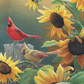 Sunny Side Up - Cardinals Acrylic Wall Art & Home Decor