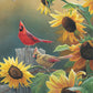 Sunny Side Up - Cardinals Acrylic Wall Art & Home Decor