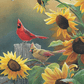 Sunny Side Up - Cardinals Acrylic Wall Art & Home Decor