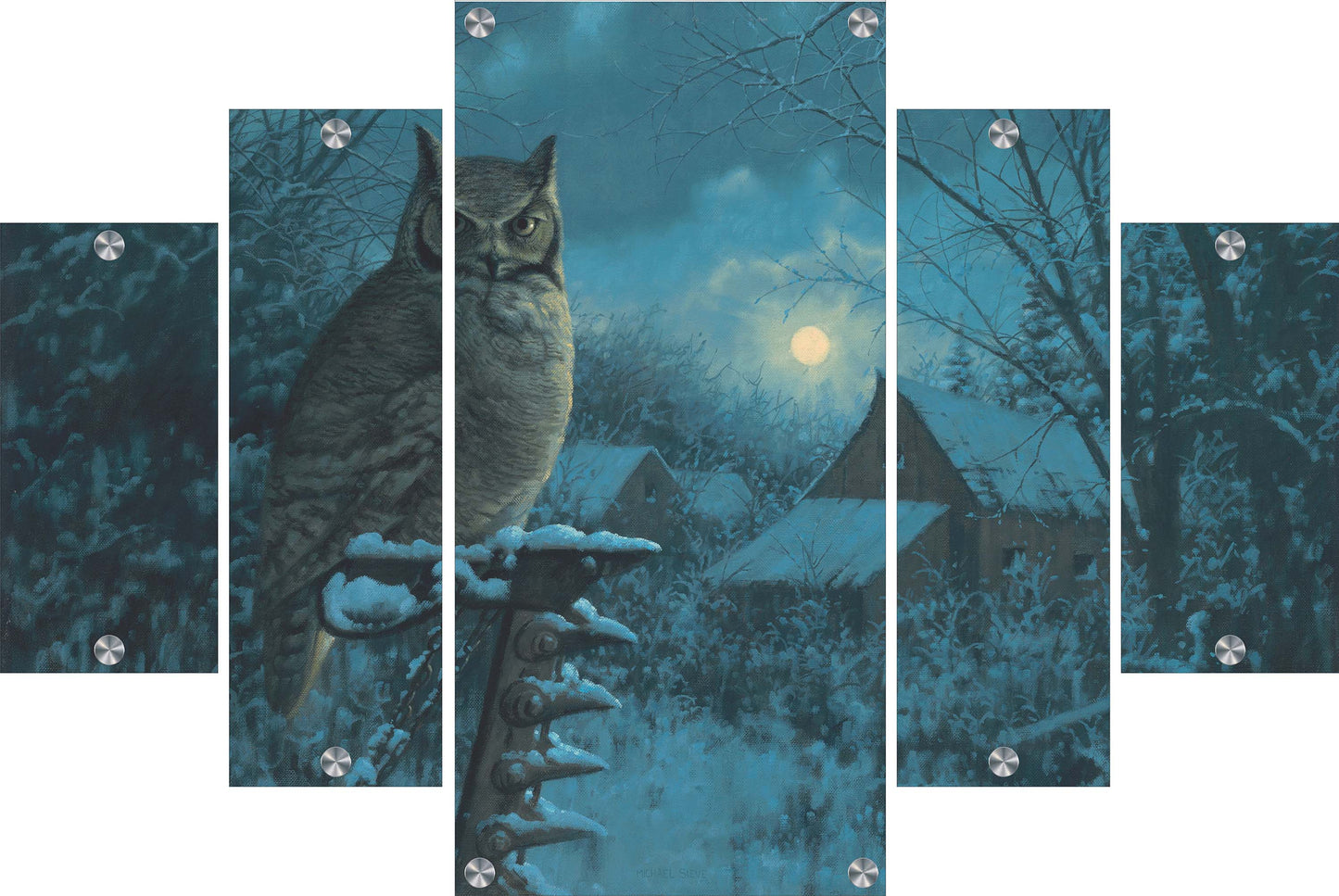 Tiger of the Night Acrylic Wall Art & Home Decor