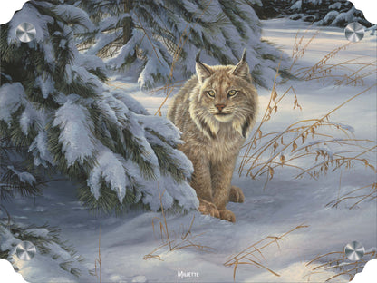 Watchful Eye - Lynx Acrylic Wall Art & Home Decor