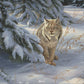 Watchful Eye - Lynx Acrylic Wall Art & Home Decor