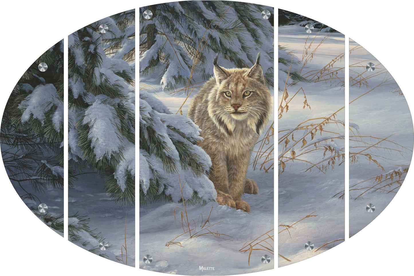 Watchful Eye - Lynx Acrylic Wall Art & Home Decor
