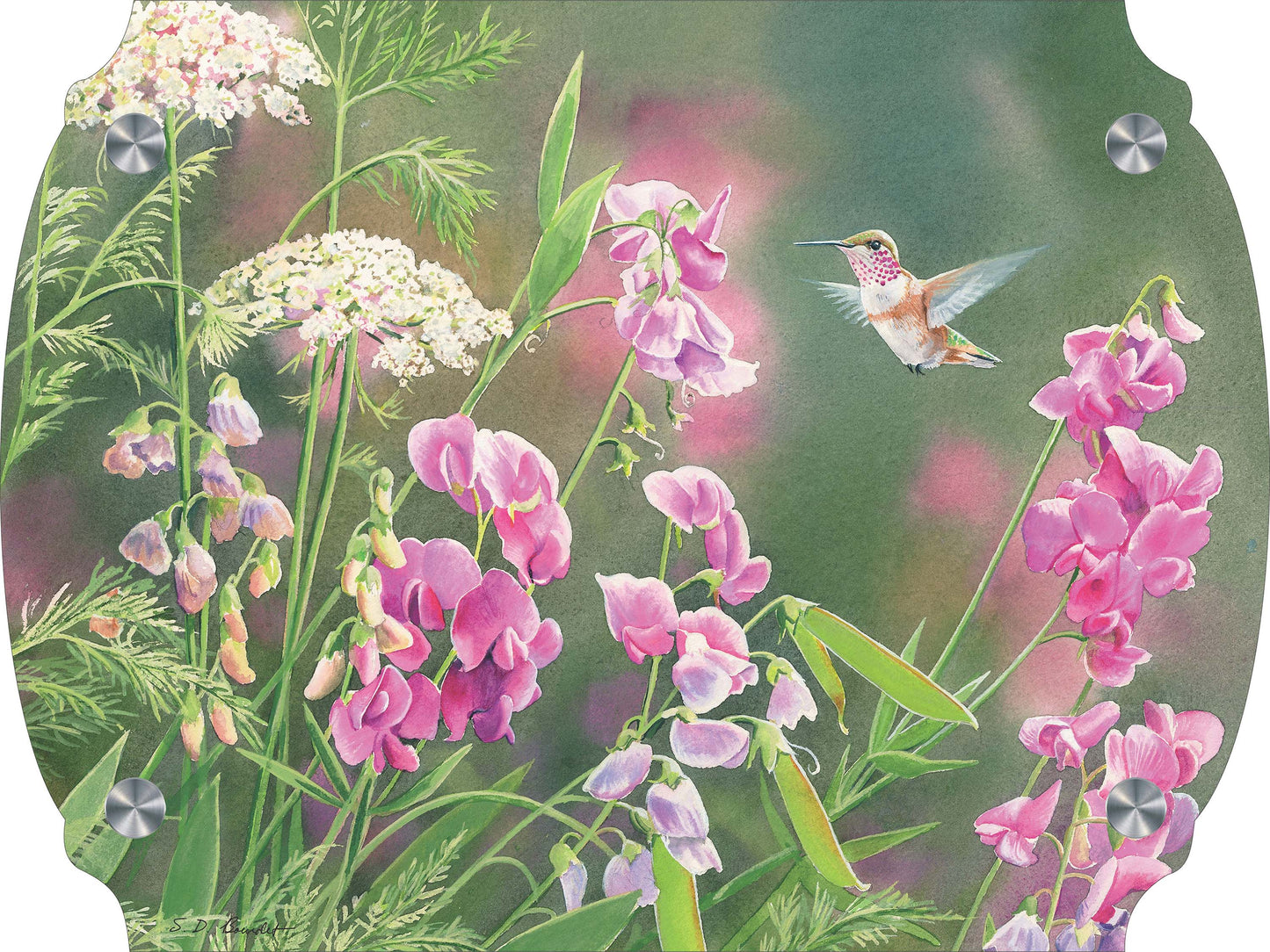 White Sweet Pea Humming Bird Acrylic Wall Art & Home Decor