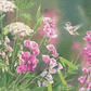 White Sweet Pea Humming Bird Acrylic Wall Art & Home Decor
