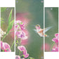 White Sweet Pea Humming Bird Acrylic Wall Art & Home Decor