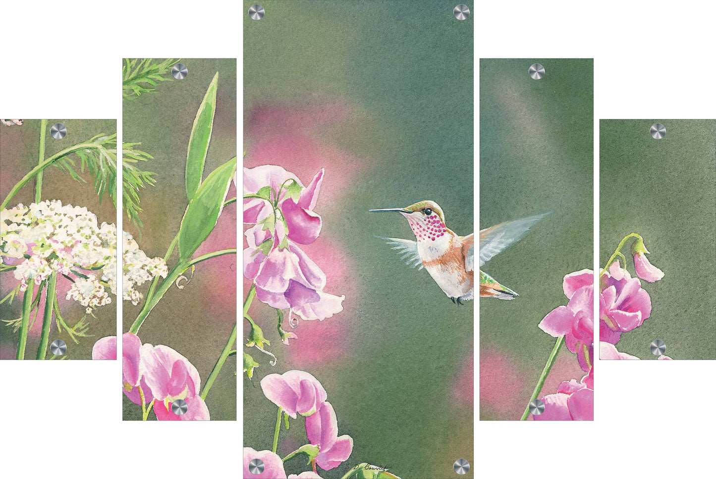 White Sweet Pea Humming Bird Acrylic Wall Art & Home Decor
