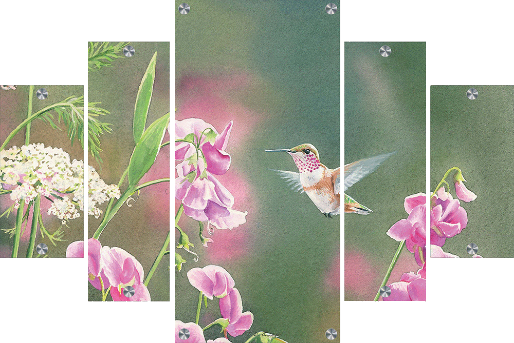 White Sweet Pea Humming Bird Acrylic Wall Art & Home Decor