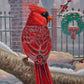 Winter Red Acrylic Wall Art & Home Decor
