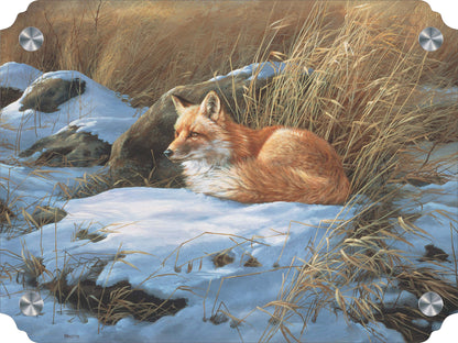 Winter Repose - Red Fox Acrylic Wall Art & Home Decor
