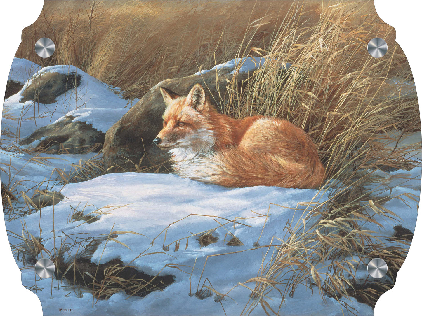 Winter Repose - Red Fox Acrylic Wall Art & Home Decor