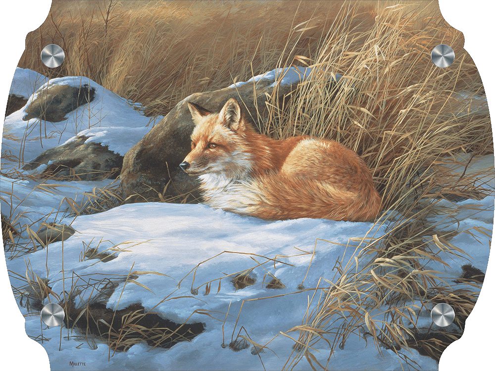 Winter Repose - Red Fox Acrylic Wall Art & Home Decor