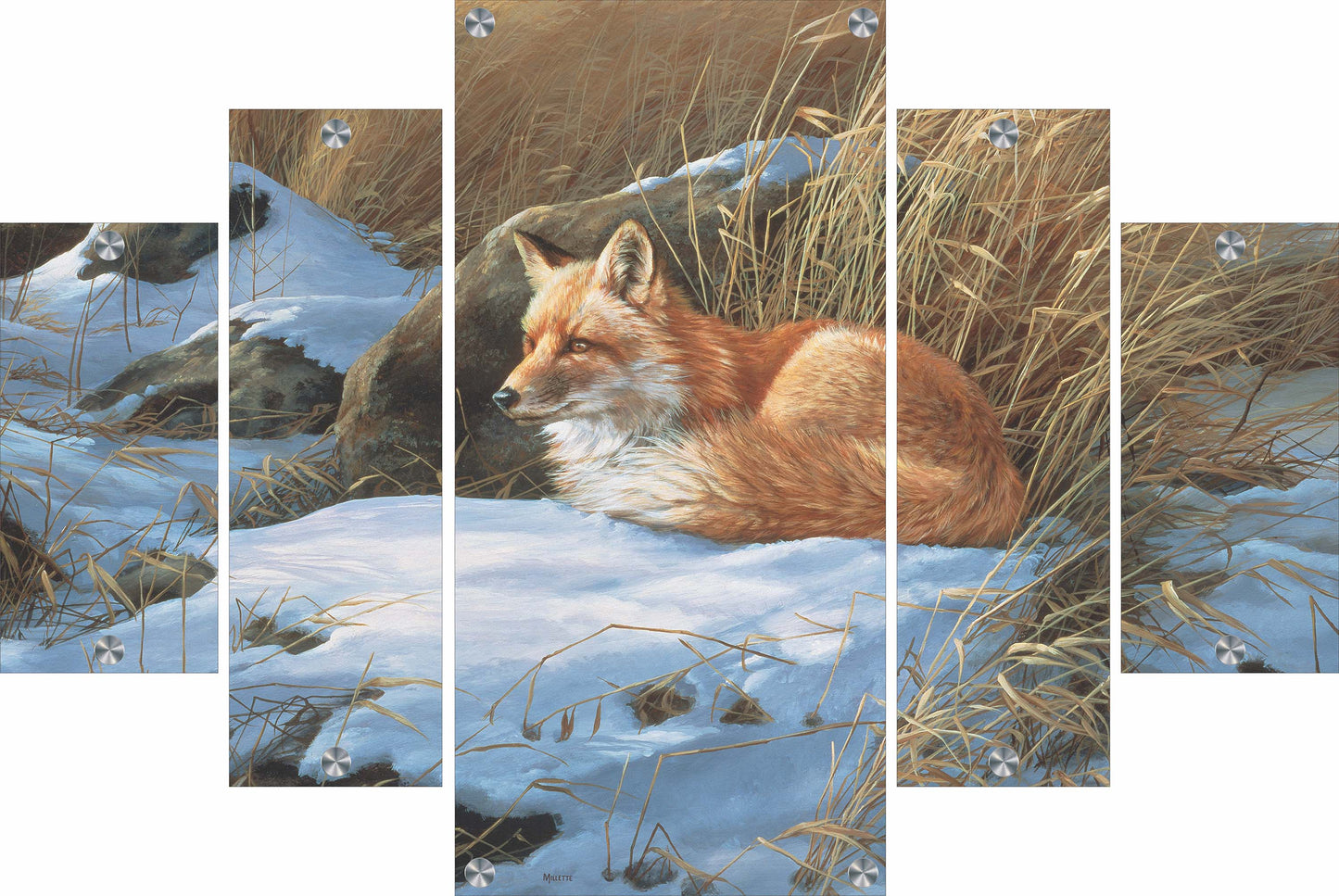 Winter Repose - Red Fox Acrylic Wall Art & Home Decor