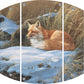 Winter Repose - Red Fox Acrylic Wall Art & Home Decor