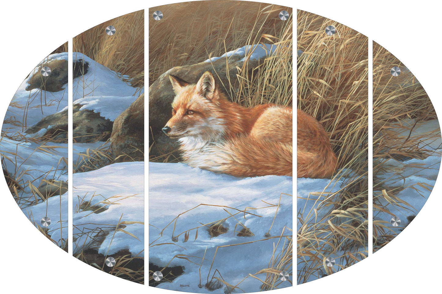 Winter Repose - Red Fox Acrylic Wall Art & Home Decor