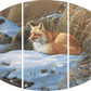 Winter Repose - Red Fox Acrylic Wall Art & Home Decor