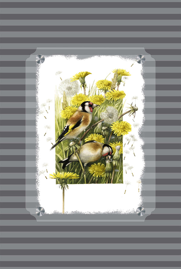 Wishing for a Goldfinch Acrylic Wall Art & Home Decor