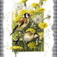 Wishing for a Goldfinch Acrylic Wall Art & Home Decor