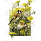 Wishing for a Goldfinch Acrylic Wall Art & Home Decor