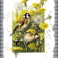 Wishing for a Goldfinch Acrylic Wall Art & Home Decor