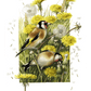 Wishing for a Goldfinch Acrylic Wall Art & Home Decor