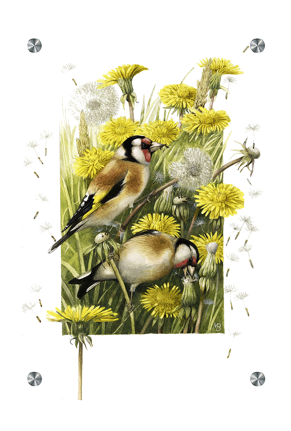 Wishing for a Goldfinch Acrylic Wall Art & Home Decor