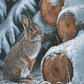 Wood Pile - Rabbit Acrylic Wall Art & Home Decor
