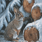 Wood Pile - Rabbit Acrylic Wall Art & Home Decor
