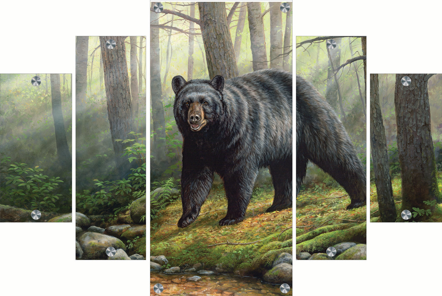 Woodland Morning Acrylic Wall Art & Home Decor