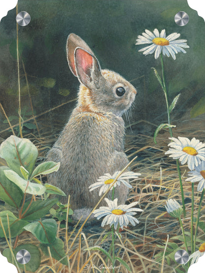Young Cottontail Acrylic Wall Art & Home Decor