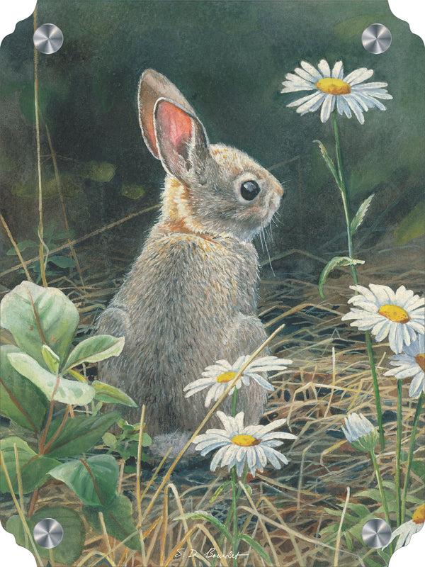 Young Cottontail Acrylic Wall Art & Home Decor