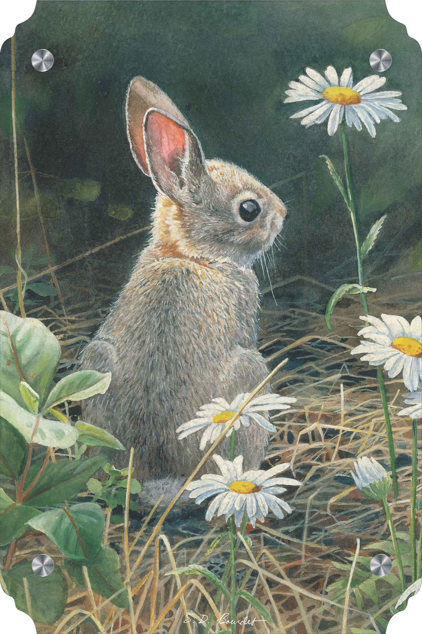 Young Cottontail Acrylic Wall Art & Home Decor
