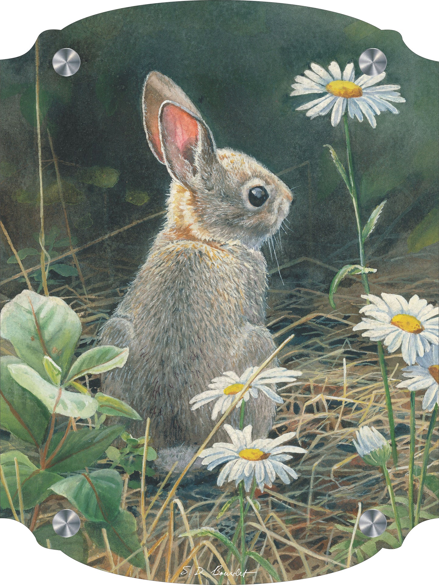 Young Cottontail Acrylic Wall Art & Home Decor
